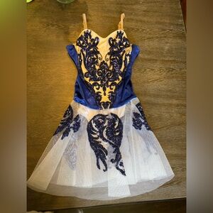 Girls Navy Blue and Cream Embroidered Tulle Dress